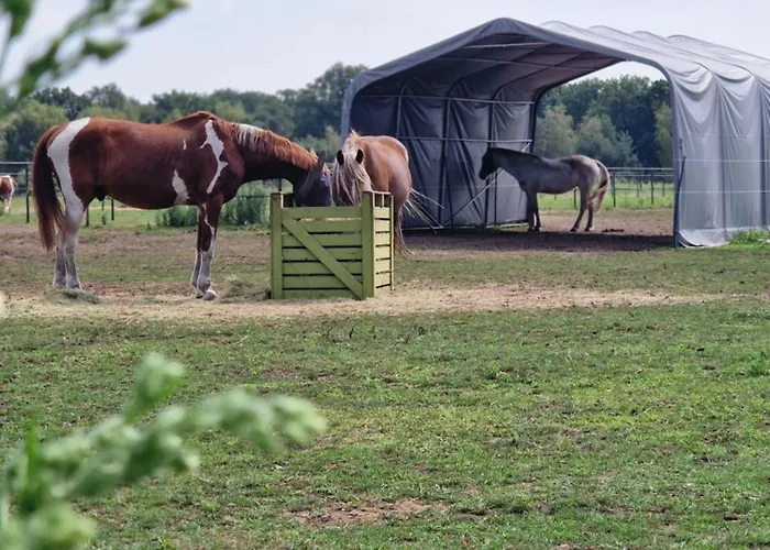 Landgoed De Bossenhoeve Bed & Breakfast Schayk