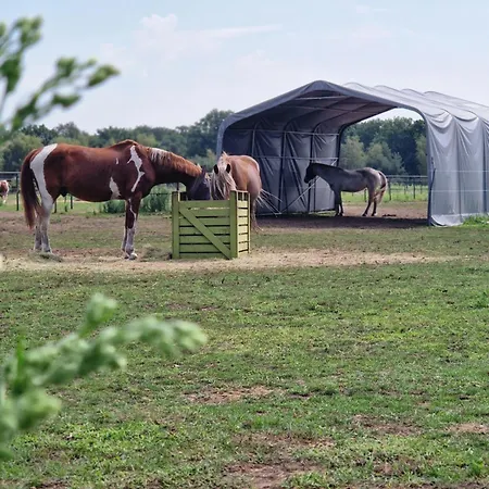 Landgoed De Bossenhoeve Panzió Schayk